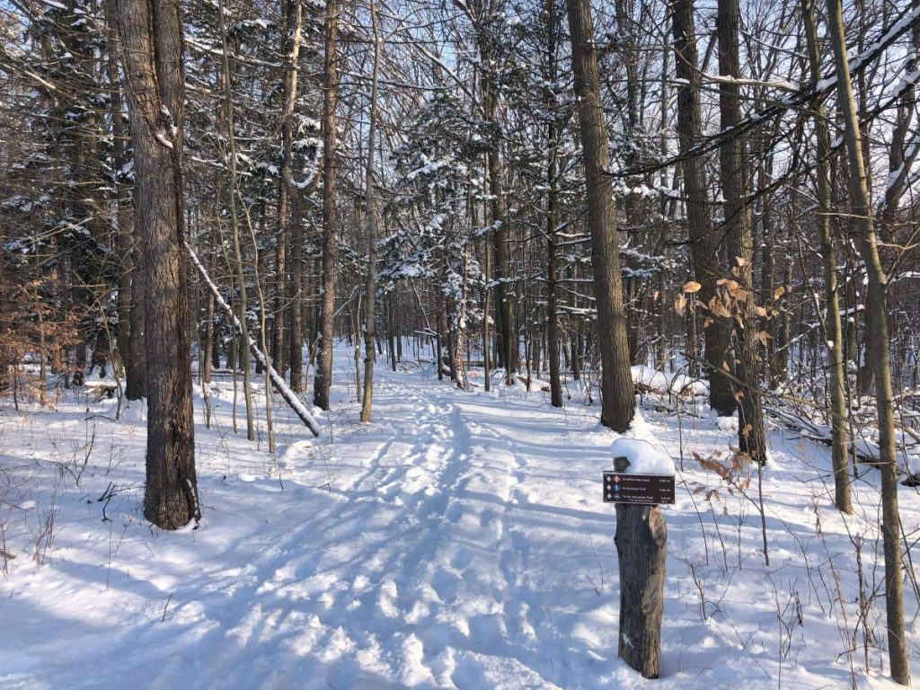 My Mountain Overlook Trailhead