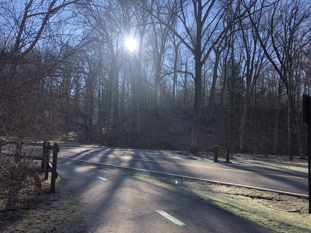 end of hemlock trail (Brecksville Reservation)