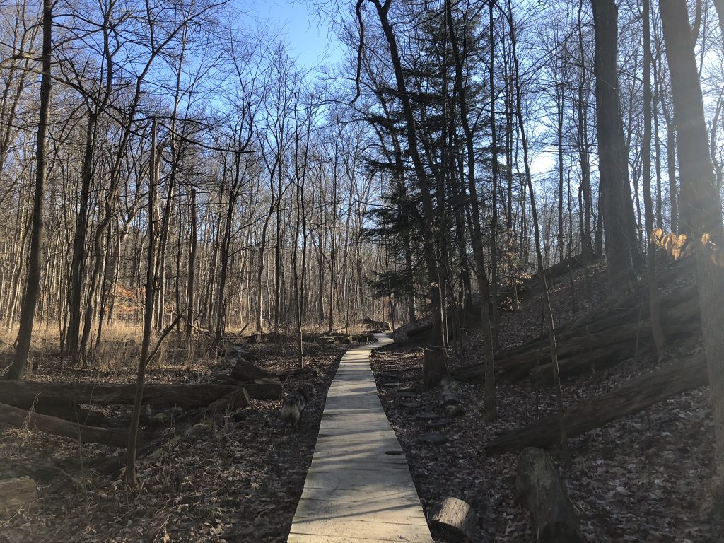 hemlock trails (Brecksville Reservation)