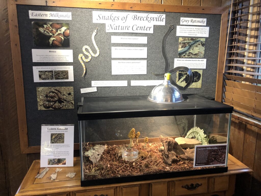 Brecksville Nature Center Education