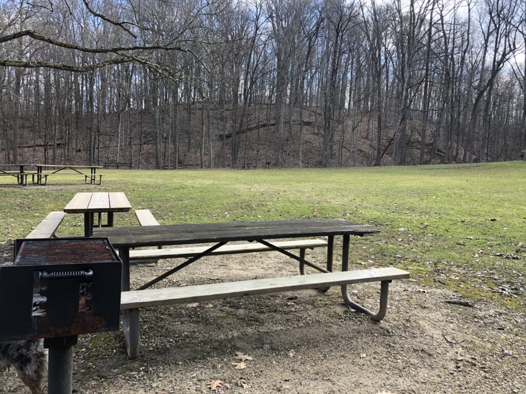 Plateau Picnic Area Brecksville Reservation Picnic Tables