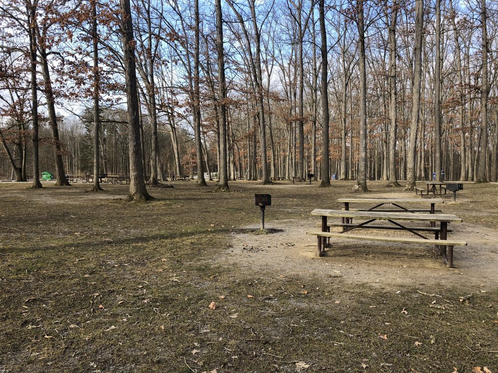 harriet keeler memorial picnic area field