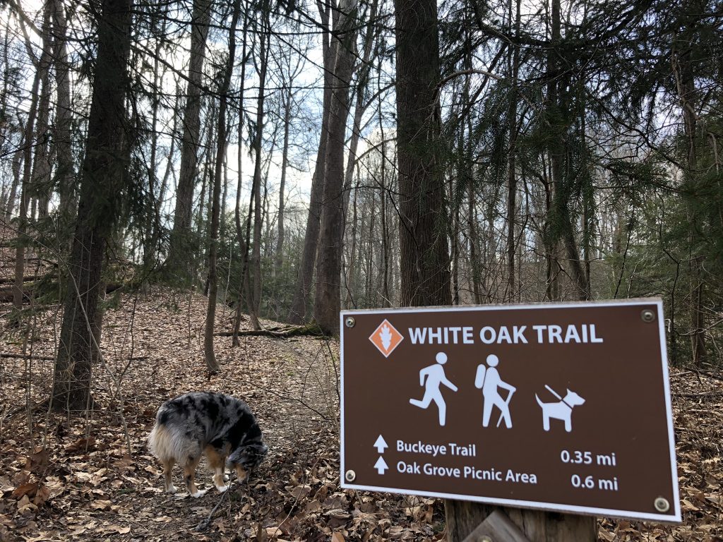 white oak trailhead (Brecksville Reservation)