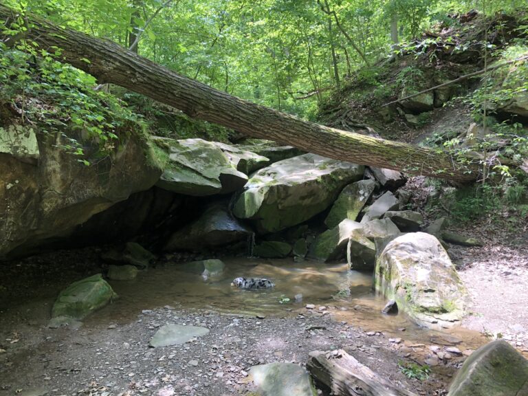 Deer Lick Cave Falls