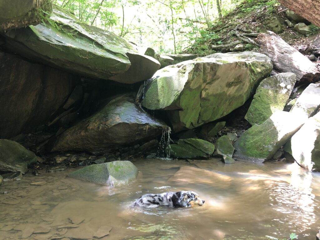 Deer Lick Cave Falls Brecksville Reservation