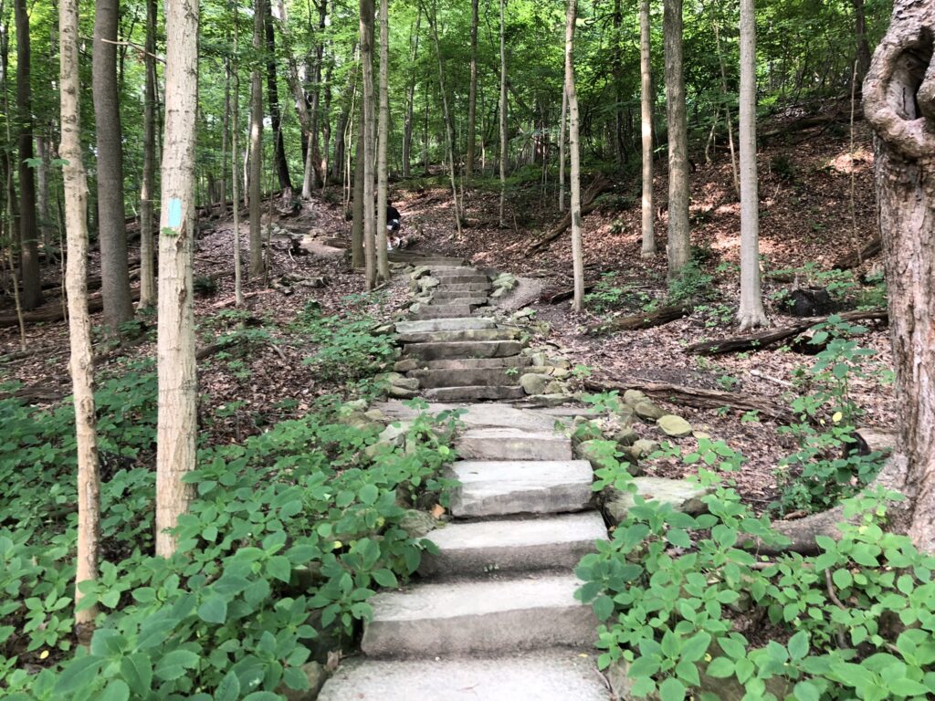 Blue Hen Falls 200 foot uphill trail