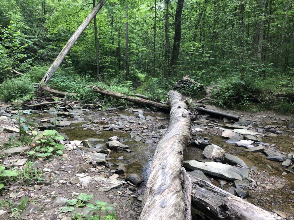 buttermilk falls trail creek crossing