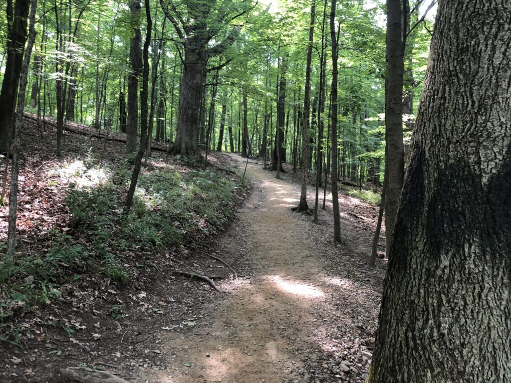 stanford trail ascent