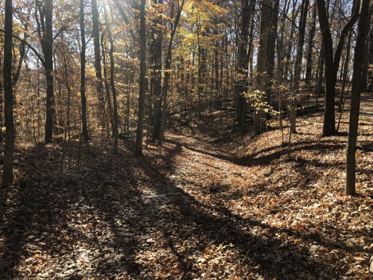 old carriage trail