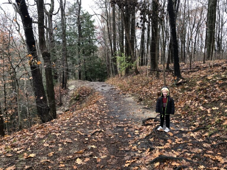 brandywine gorge trail