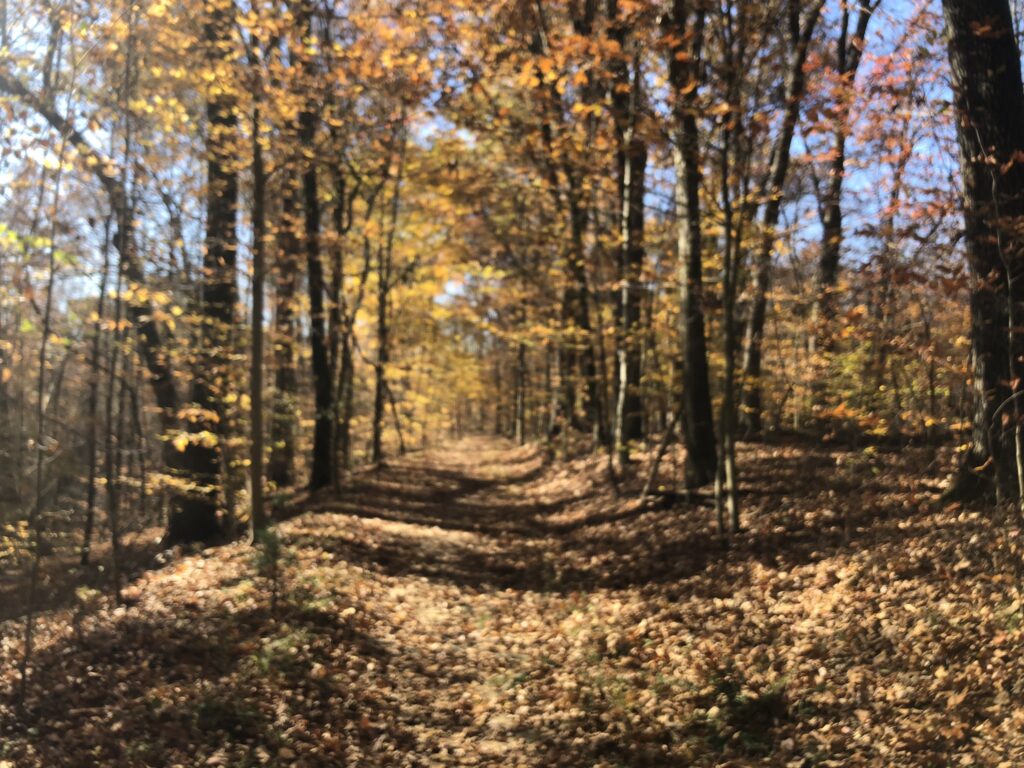 old carriage trail