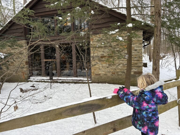 Brecksville Reservation Hand Feeding Chickadees