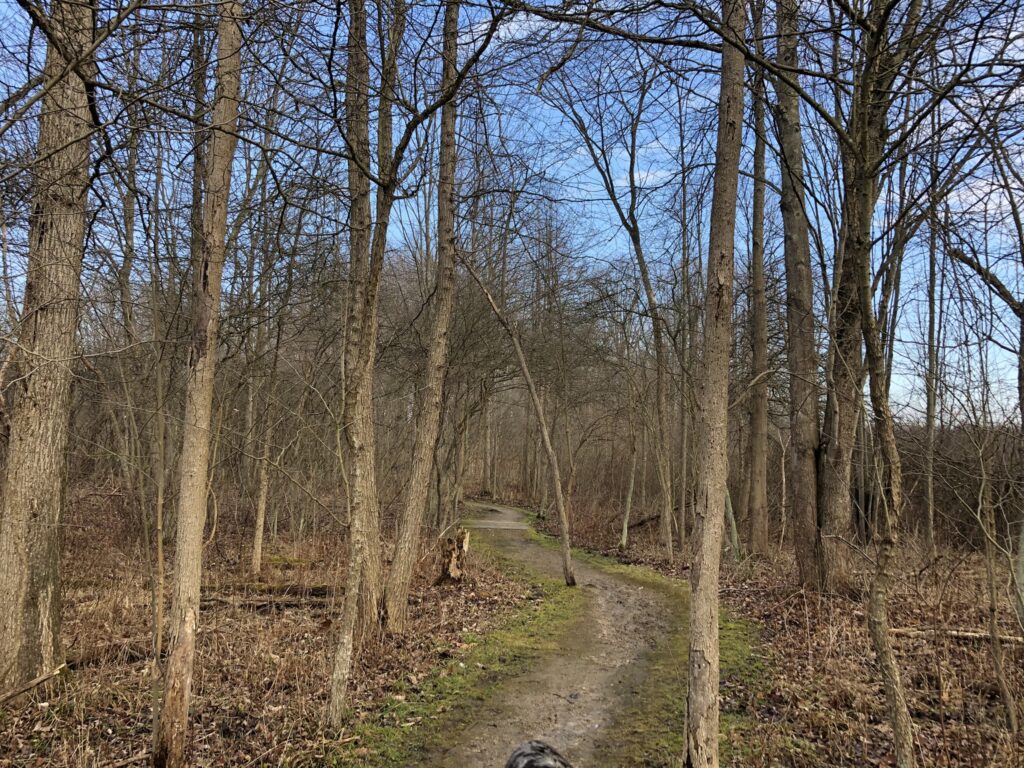 Eagle Point Trail