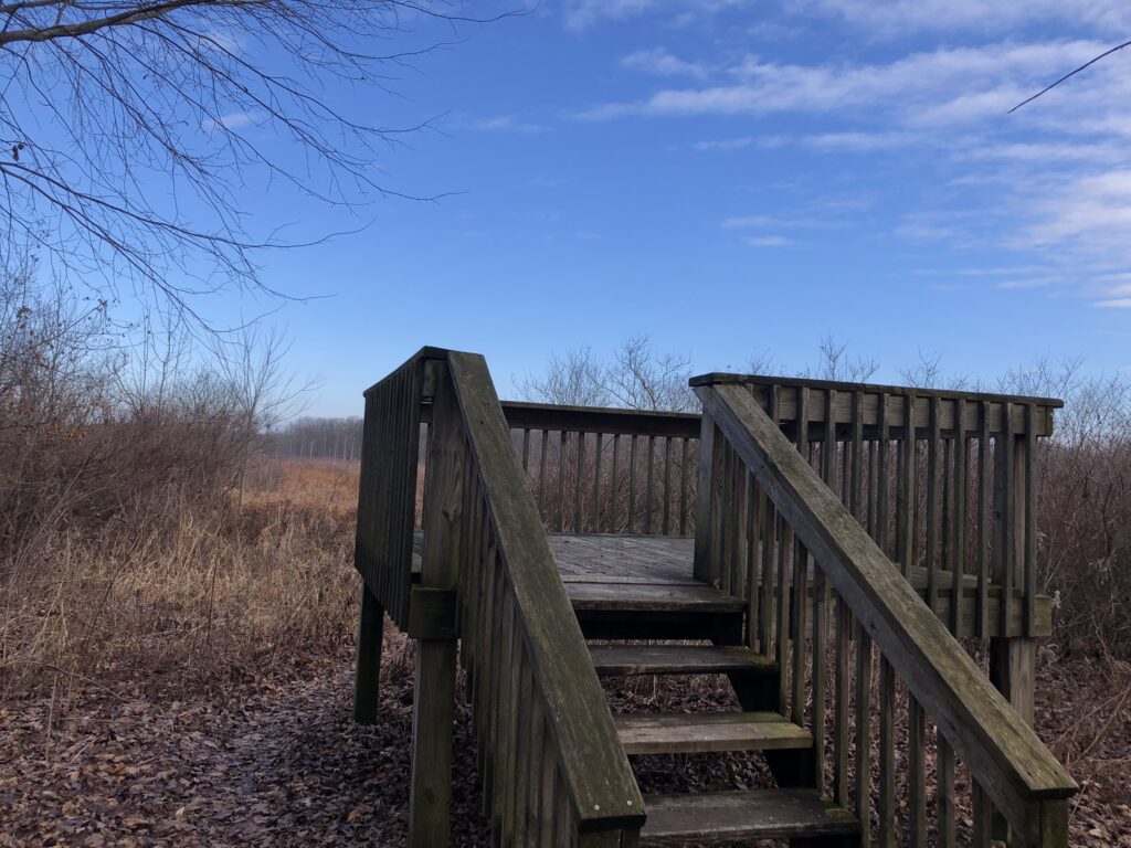 Eagle Point Trail Observation Deck