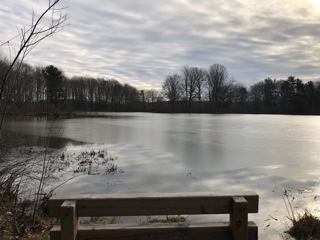 seven ponds trail ponds