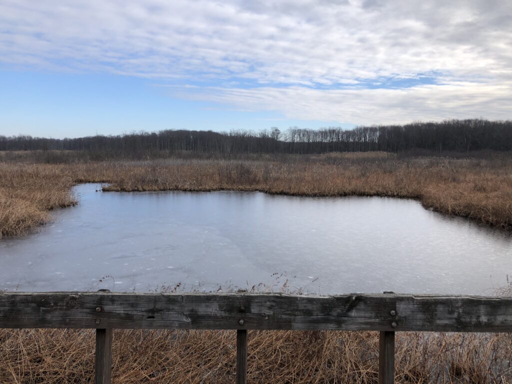 seven ponds trail view