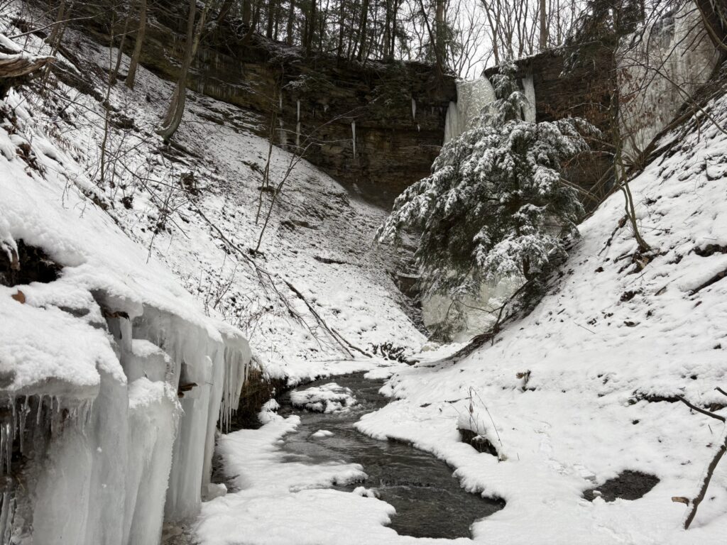 twin sisters falls