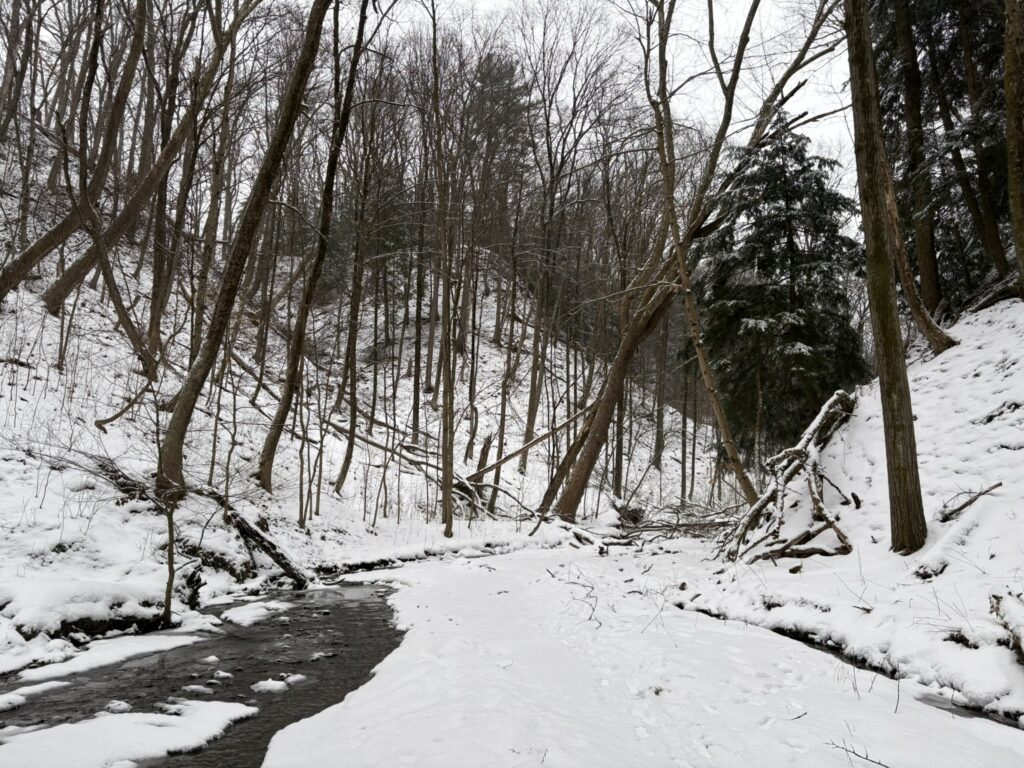 twin sisters falls trail