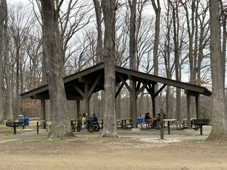 Egbert Picnic Area