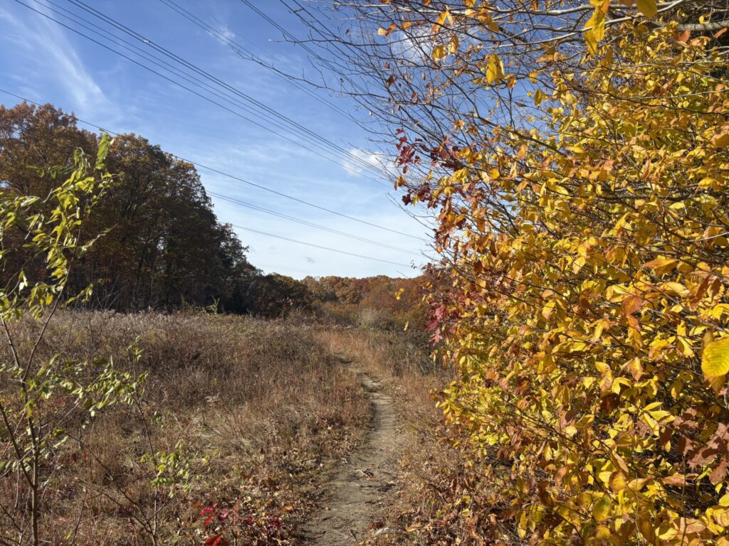 Linda Falls Trail, Bedford Reservation