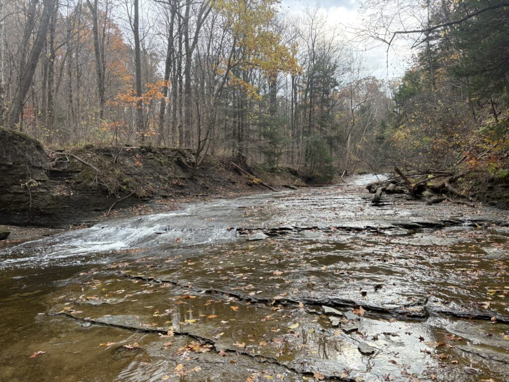 shredder falls in brandywine creek, cuyahoga valley national park