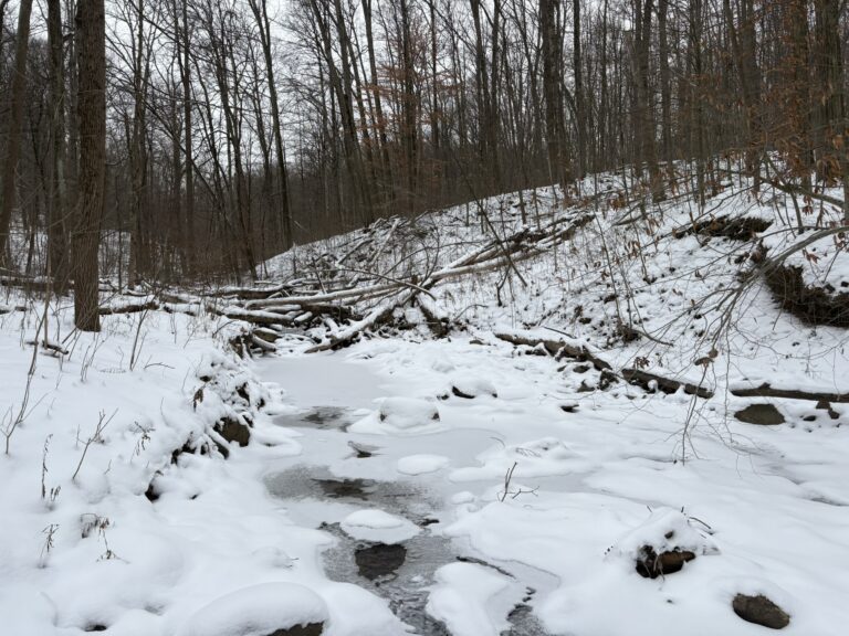 Perkins Trail River Crossing
