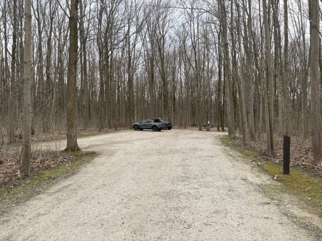 daffodil trail parking lot