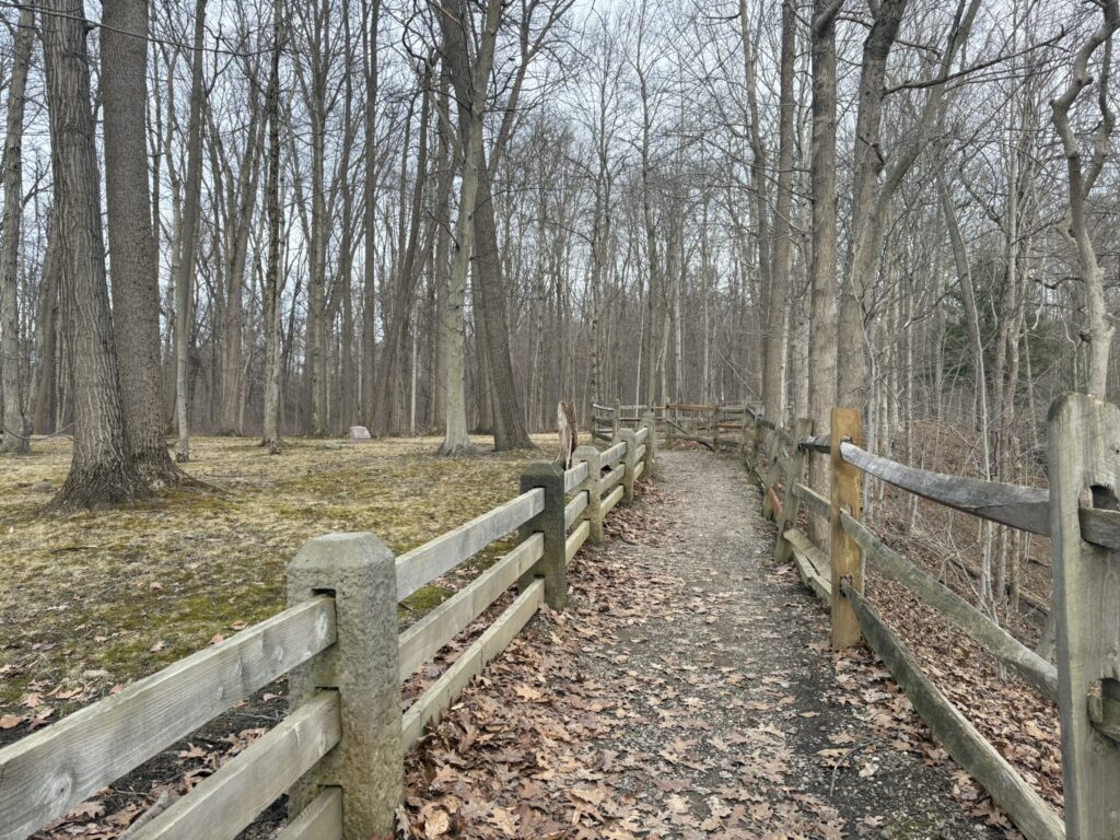 haskell run cemetery