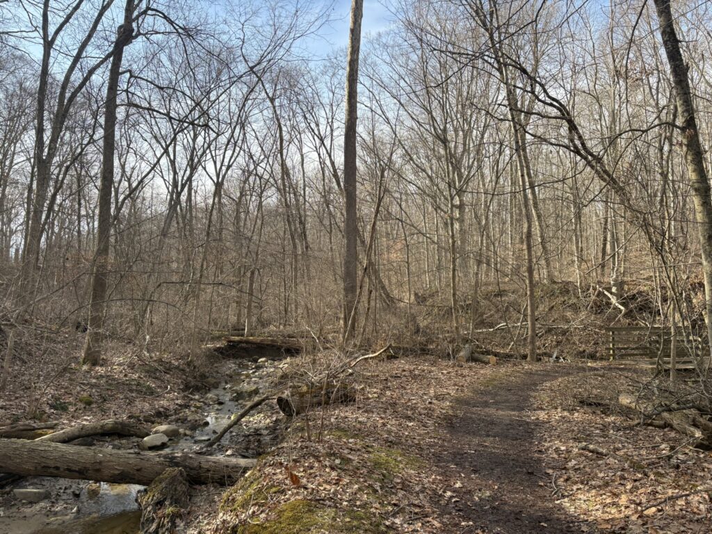 Boston Run hiking trail